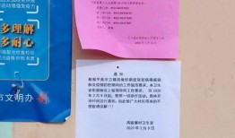 乡村医生爆料案例范文最新,罕见病例背后的医疗挑战与救治历程