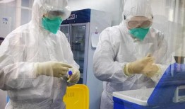 病毒实验室最新疫情爆料,病毒实验室最新爆料揭示病毒变异与传播趋势