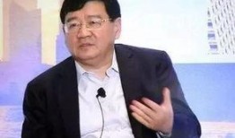 徐小平最新爆料视频播放,揭秘行业内幕与真实故事