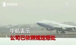 最新爆料飞机事件,真相与谜团交织的空中疑云”