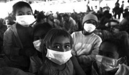 印尼当地人爆料事件最新,神秘事件震惊民众，真相究竟如何？