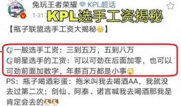 瓶子爆料规则最新版,全面解读与合规指南
